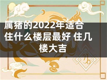 属猪的2022年适合住什么楼层最好 住几楼大吉