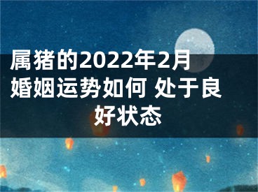 属猪的2022年2月婚姻运势如何 处于良好状态