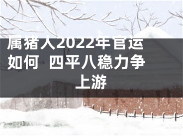 属猪人2022年官运如何  四平八稳力争上游