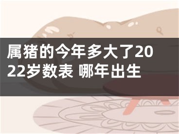 属猪的今年多大了2022岁数表 哪年出生