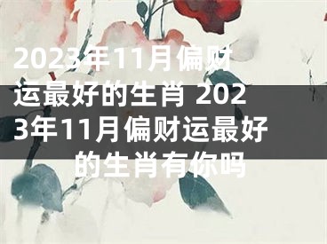 2023年11月偏财运最好的生肖 2023年11月偏财运最好的生肖有你吗