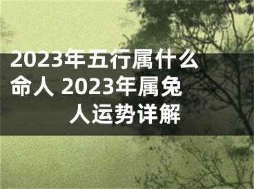 2023年五行属什么命人 2023年属兔人运势详解