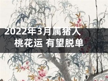 2022年3月属猪人桃花运 有望脱单