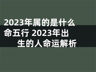 2023年属的是什么命五行 2023年出生的人命运解析