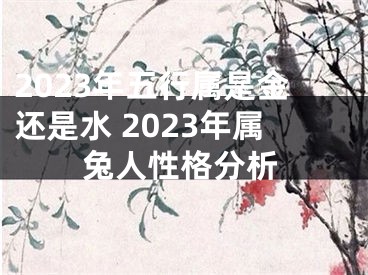 2023年五行属是金还是水 2023年属兔人性格分析