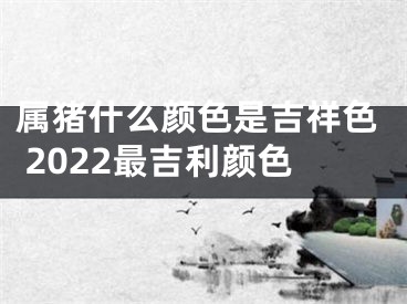 属猪什么颜色是吉祥色 2022最吉利颜色