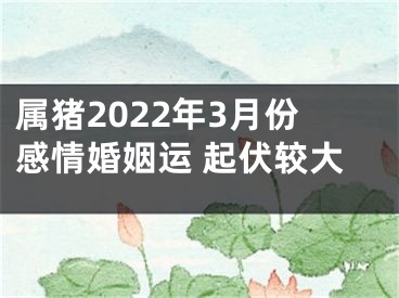 属猪2022年3月份感情婚姻运 起伏较大