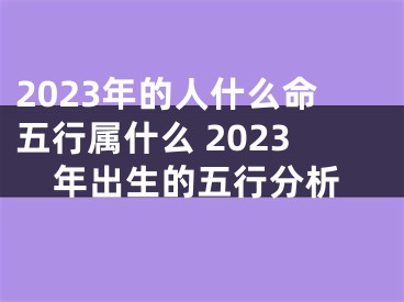 2023年的人什么命五行属什么 2023年出生的五行分析