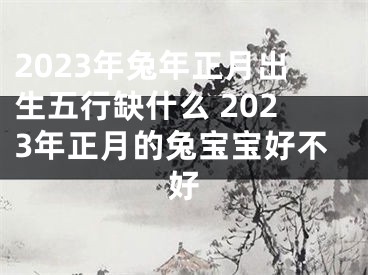 2023年兔年正月出生五行缺什么 2023年正月的兔宝宝好不好