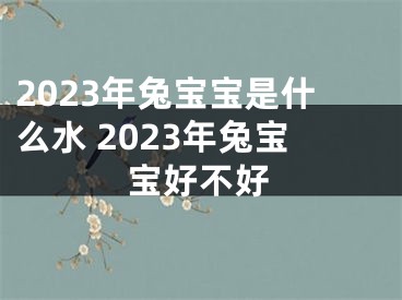 2023年兔宝宝是什么水 2023年兔宝宝好不好