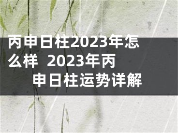 丙申日柱2023年怎么样  2023年丙申日柱运势详解