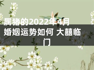 属猪的2022年4月婚姻运势如何 大囍临门