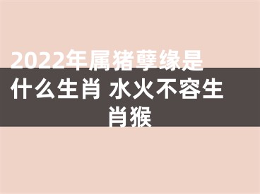 2022年属猪孽缘是什么生肖 水火不容生肖猴