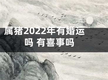 属猪2022年有婚运吗 有喜事吗