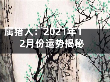 属猪人：2021年12月份运势揭秘