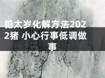 犯太岁化解方法2022猪 小心行事低调做事