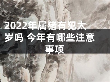 2022年属猪有犯太岁吗 今年有哪些注意事项