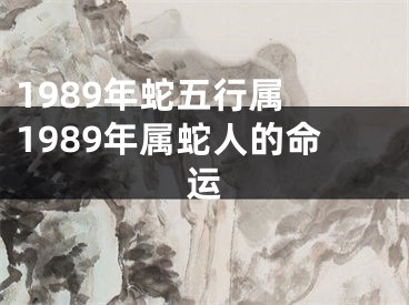 1989年蛇五行属 1989年属蛇人的命运