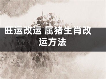 旺运改运 属猪生肖改运方法