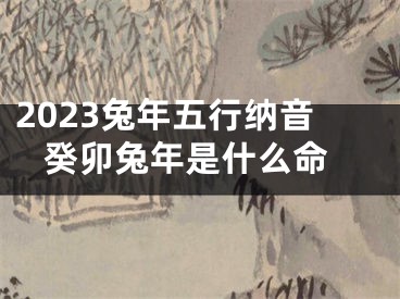 2023兔年五行纳音 癸卯兔年是什么命