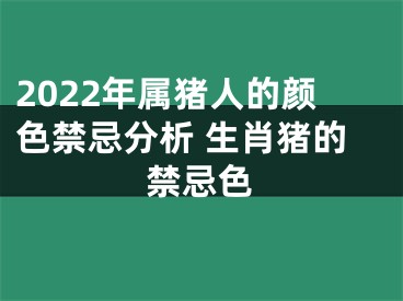 2022年属猪人的颜色禁忌分析 生肖猪的禁忌色