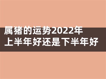 属猪的运势2022年上半年好还是下半年好