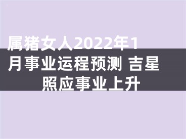 属猪女人2022年1月事业运程预测 吉星照应事业上升