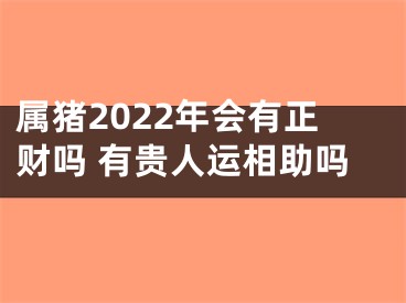 属猪2022年会有正财吗 有贵人运相助吗