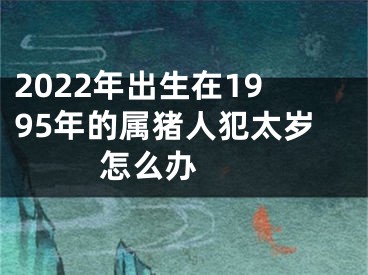 2022年出生在1995年的属猪人犯太岁怎么办　　