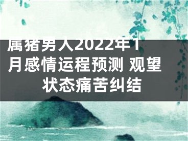 属猪男人2022年1月感情运程预测 观望状态痛苦纠结