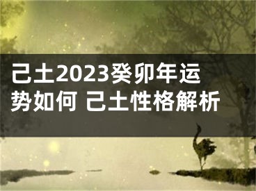 己土2023癸卯年运势如何 己土性格解析