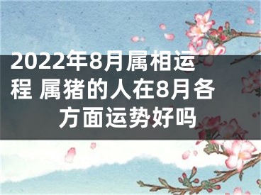 2022年8月属相运程 属猪的人在8月各方面运势好吗