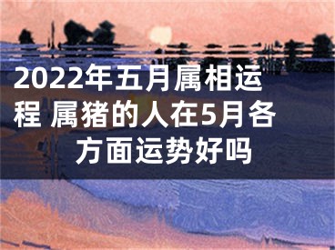 2022年五月属相运程 属猪的人在5月各方面运势好吗