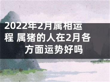 2022年2月属相运程 属猪的人在2月各方面运势好吗