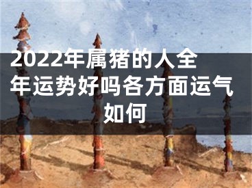 2022年属猪的人全年运势好吗各方面运气如何