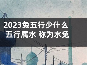 2023兔五行少什么 五行属水 称为水兔