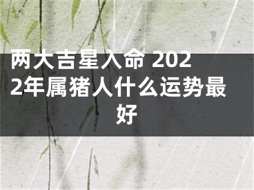 两大吉星入命 2022年属猪人什么运势最好