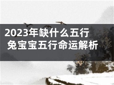 2023年缺什么五行 兔宝宝五行命运解析