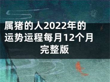 属猪的人2022年的运势运程每月12个月完整版