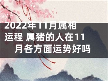 2022年11月属相运程 属猪的人在11月各方面运势好吗