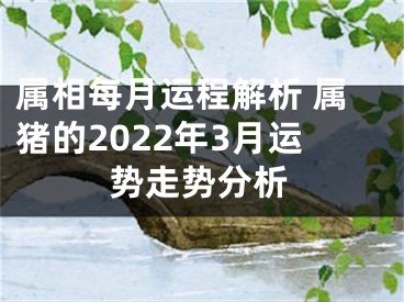 属相每月运程解析 属猪的2022年3月运势走势分析