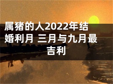 属猪的人2022年结婚利月 三月与九月最吉利