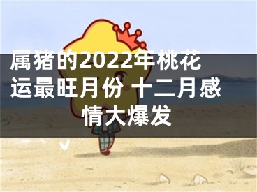 属猪的2022年桃花运最旺月份 十二月感情大爆发