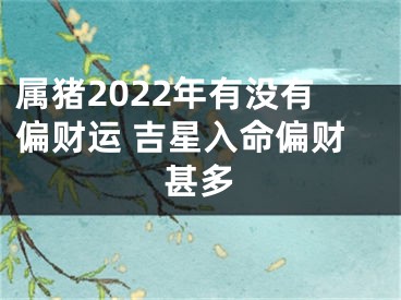 属猪2022年有没有偏财运 吉星入命偏财甚多