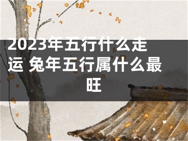 2023年五行什么走运 兔年五行属什么最旺