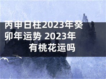 丙申日柱2023年癸卯年运势 2023年有桃花运吗