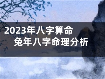 2023年八字算命 兔年八字命理分析