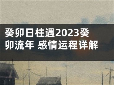 癸卯日柱遇2023癸卯流年 感情运程详解