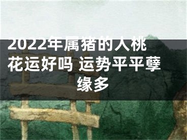 2022年属猪的人桃花运好吗 运势平平孽缘多