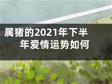 属猪的2021年下半年爱情运势如何